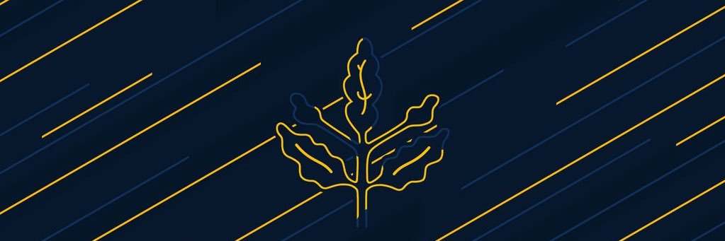 astrellena's profile banner image