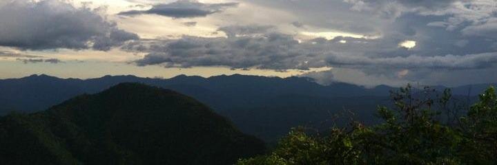 Dr. Caitlin R. Williams (김장매의 딸) banner