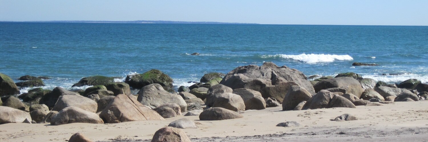 Susan Blanker banner