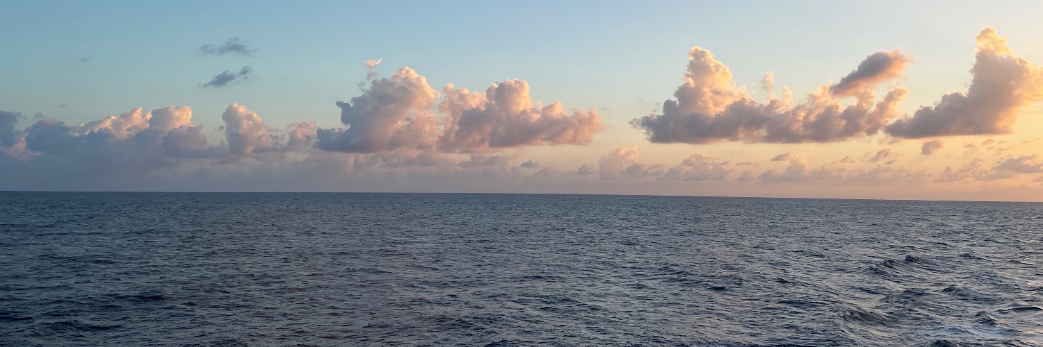 Mickey Schoonover banner