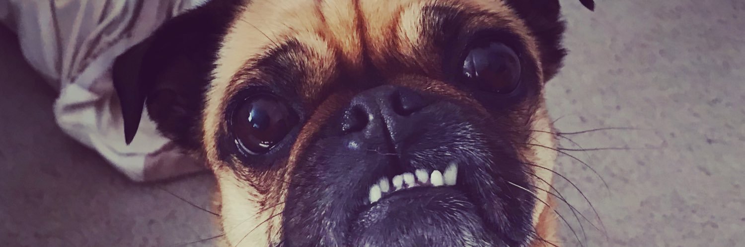 Kaatieroo's profile banner image