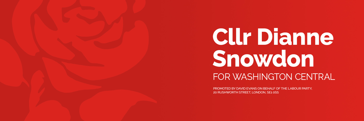 Dianne E Snowdon banner