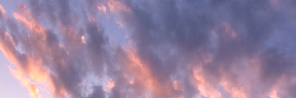 nipollna's profile banner image