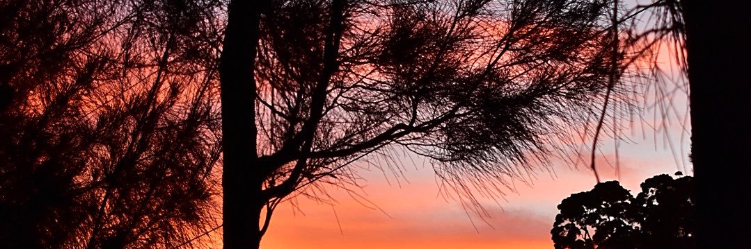 🇦🇺 Robo 🇬🇧 🇮🇱 banner