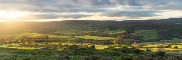 WNYChamber Profile Banner