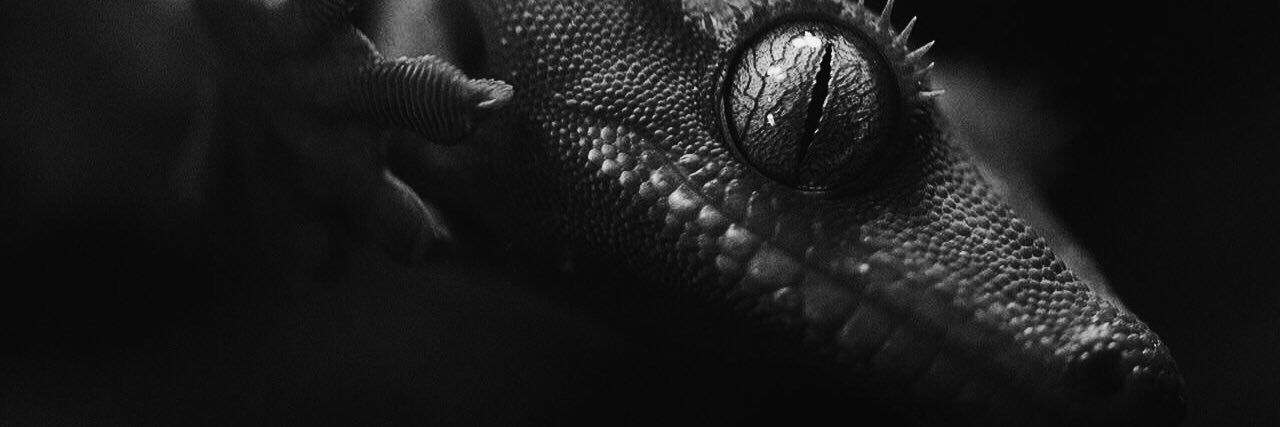 BateMker's profile banner image