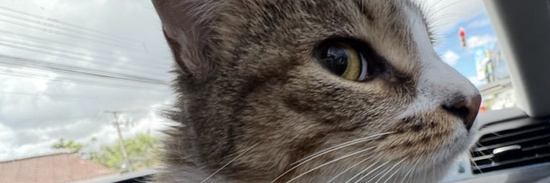 cuadriante's profile banner image