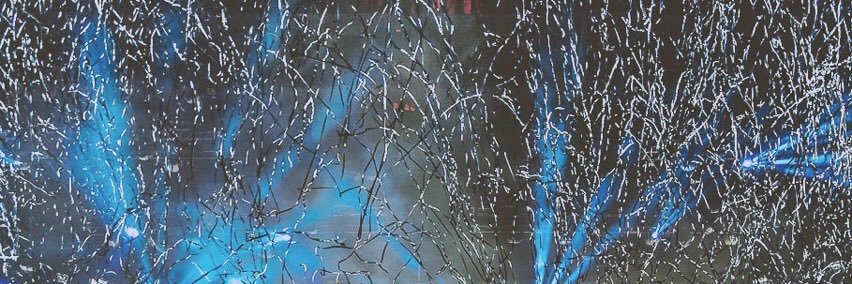 sativabe's profile banner image