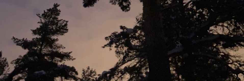 Ksehka's profile banner image