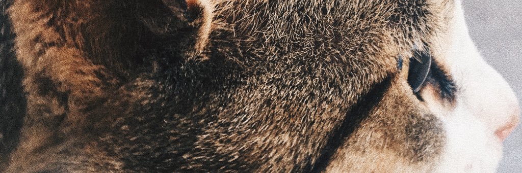GizeemSezen's profile banner image