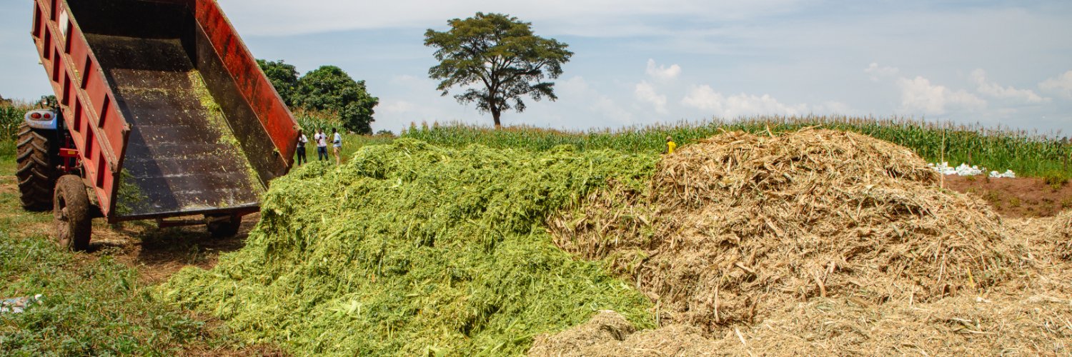 RadiantFarm's profile banner image