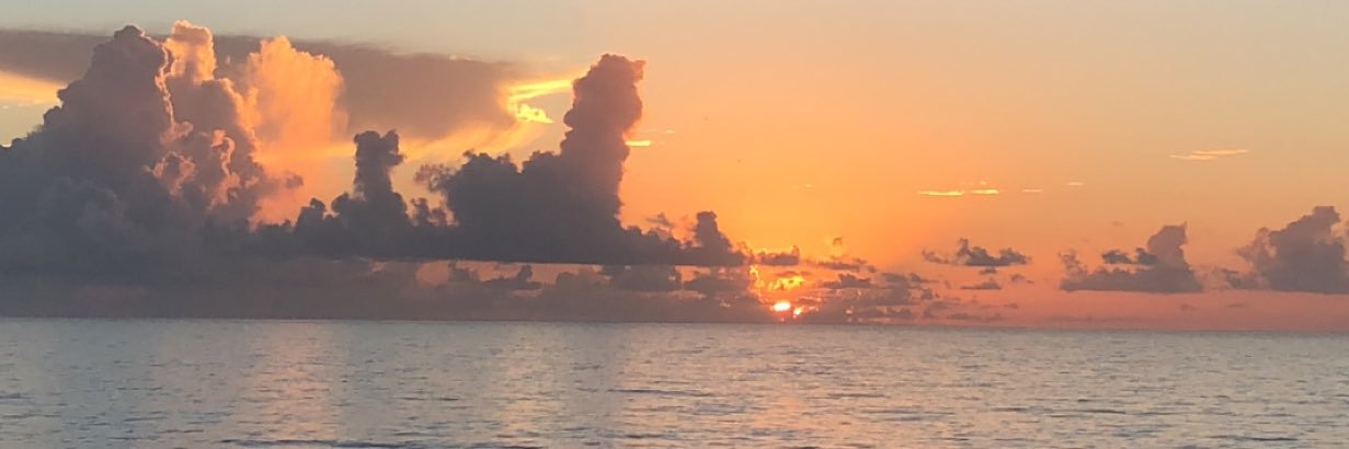 aleighak99's profile banner image