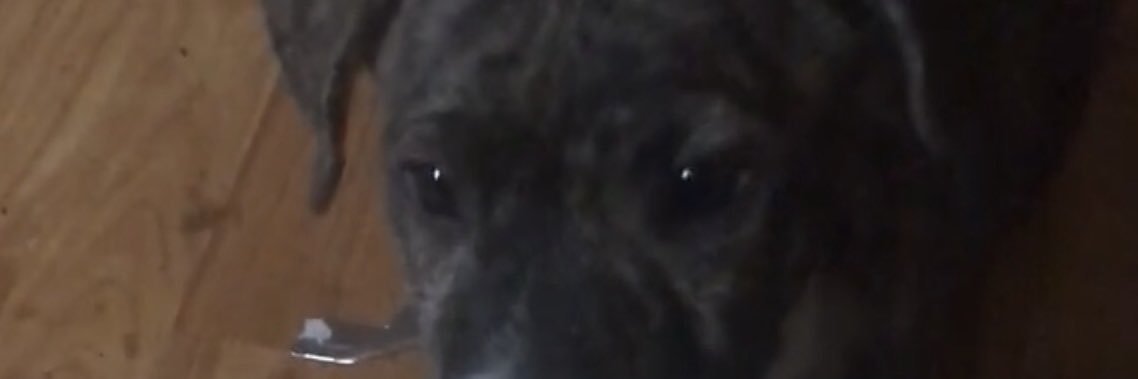 SobbleFEGang's profile banner image