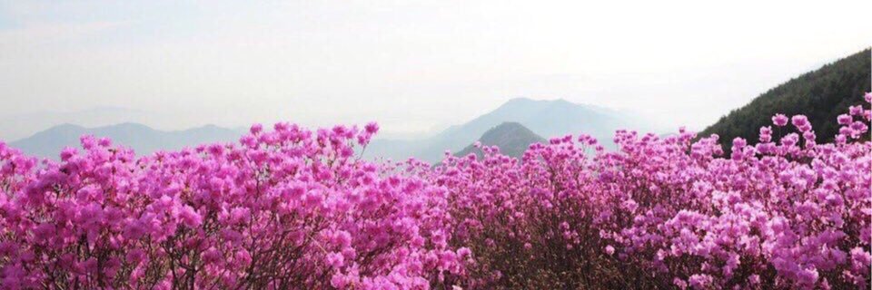 __ashie_'s profile banner image