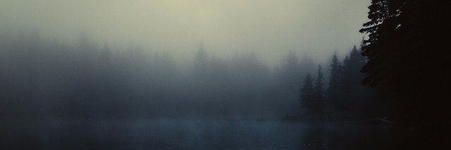lesvampire's profile banner image