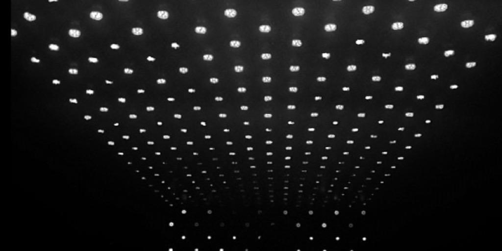 Dodd Mitchell banner