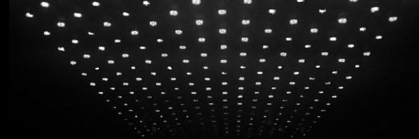 dodd_mitchell Profile Banner