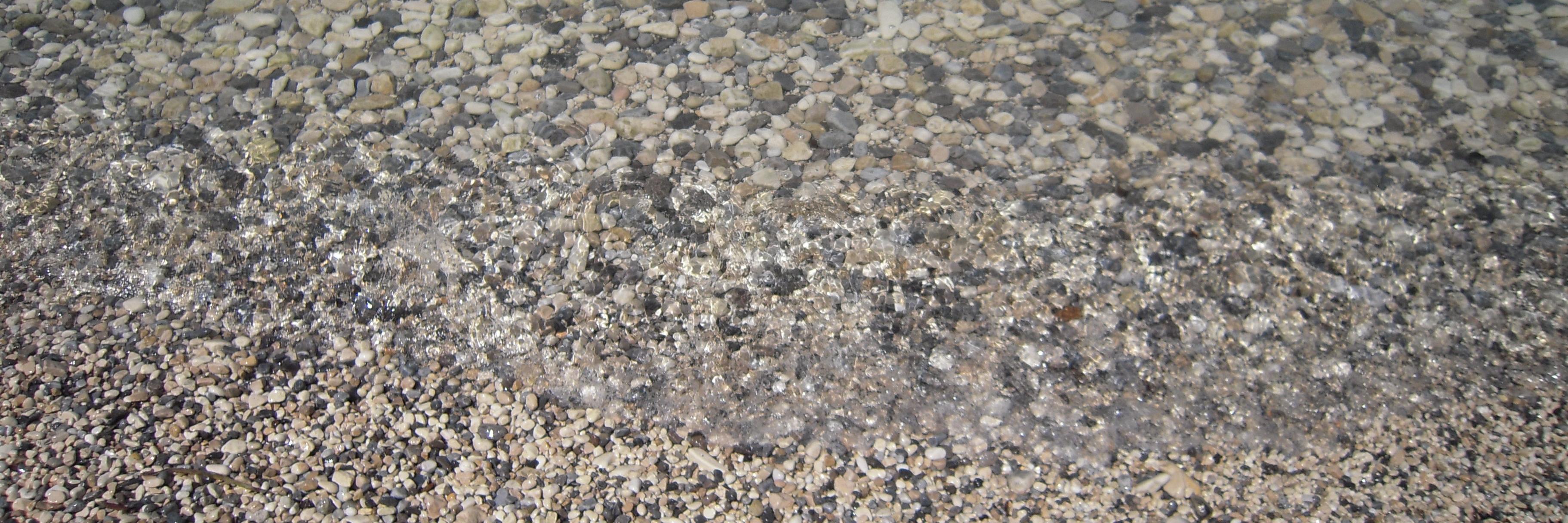 Monique Clesca banner