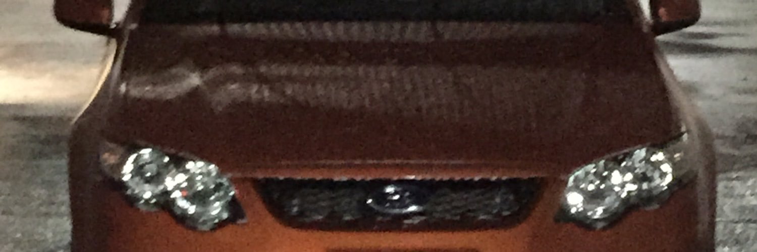 fogzfg's profile banner image