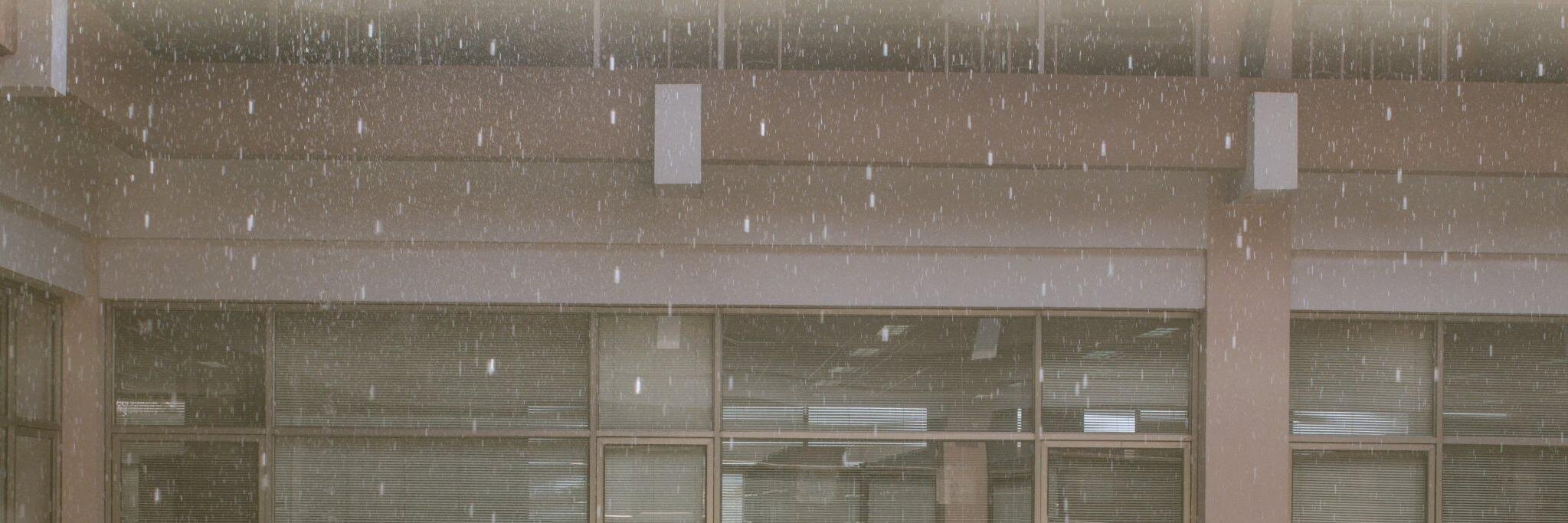 ลูกชิ้นหมู lll banner