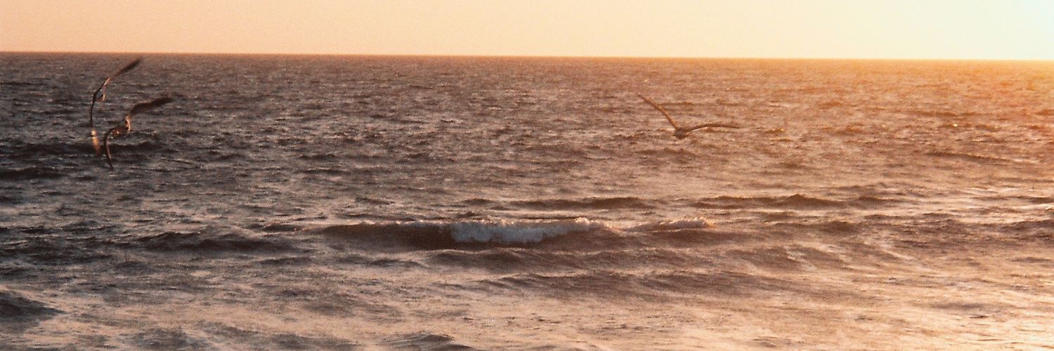 inghjkl's profile banner image