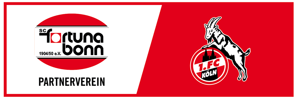 sc_fortuna's profile banner image