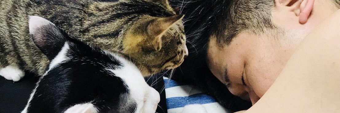 dbd971's profile banner image