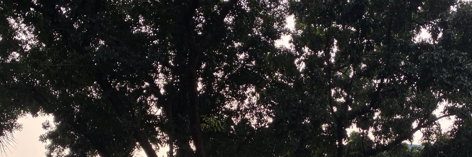qilspace's profile banner image