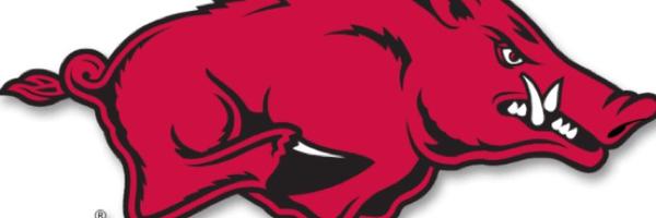 razrback30 Profile Banner