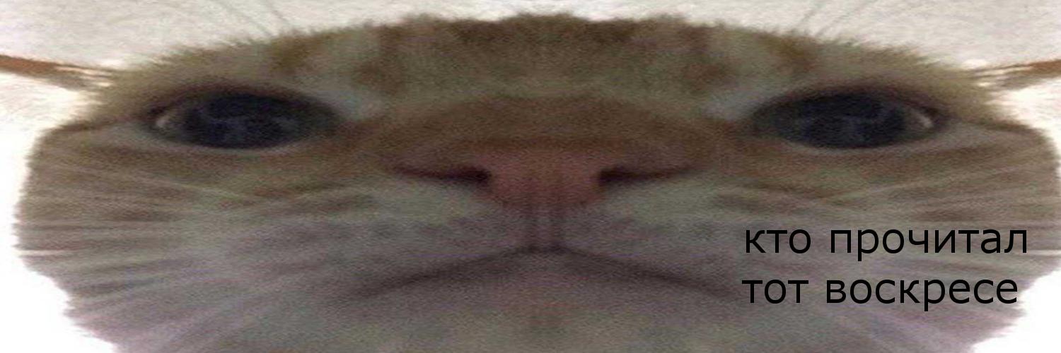 urtess's profile banner image