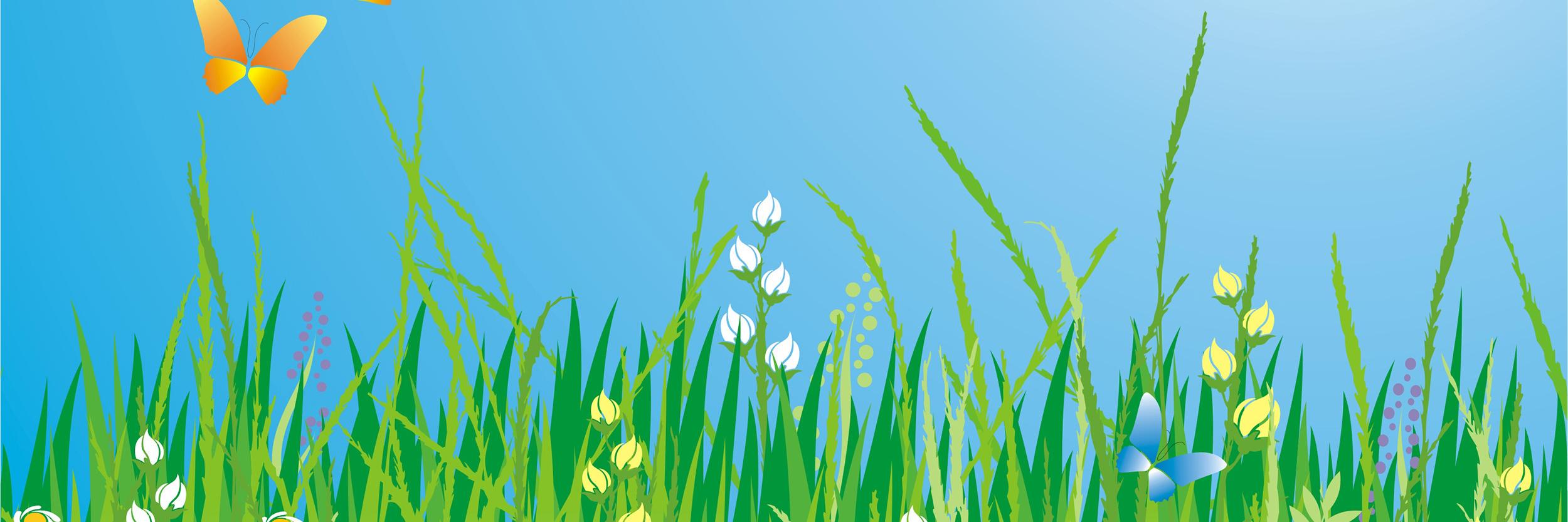 AinePurcell's profile banner image