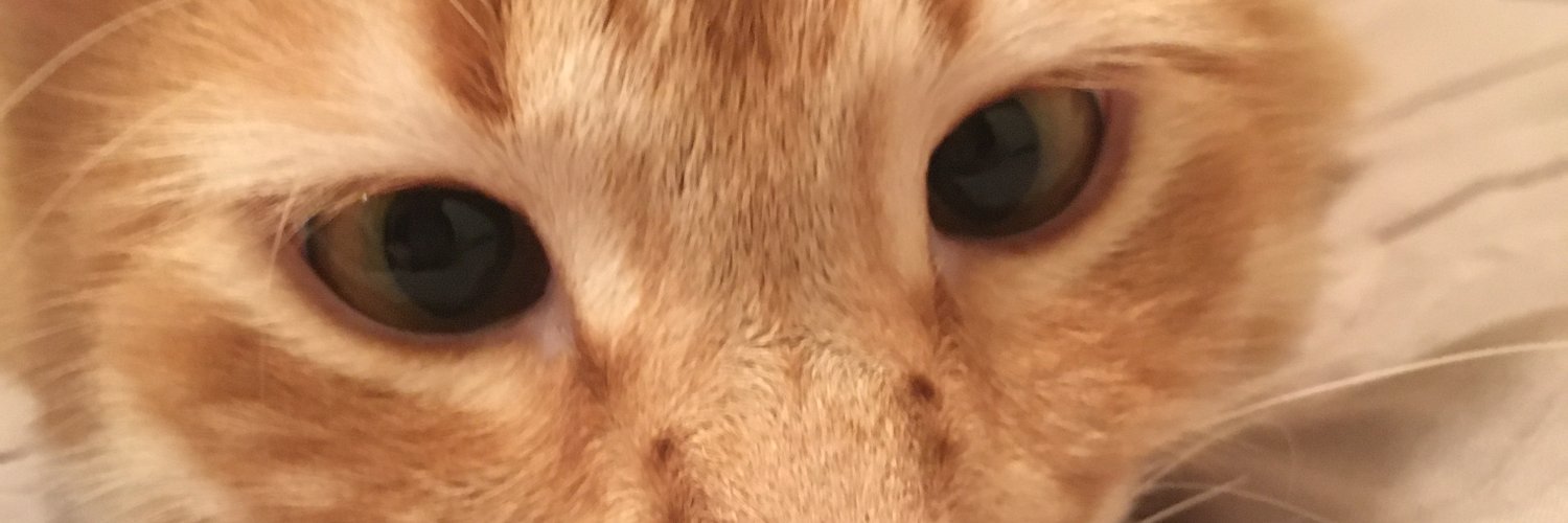 orcun_ates's profile banner image