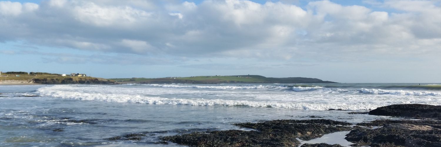 CForageandfind's profile banner image