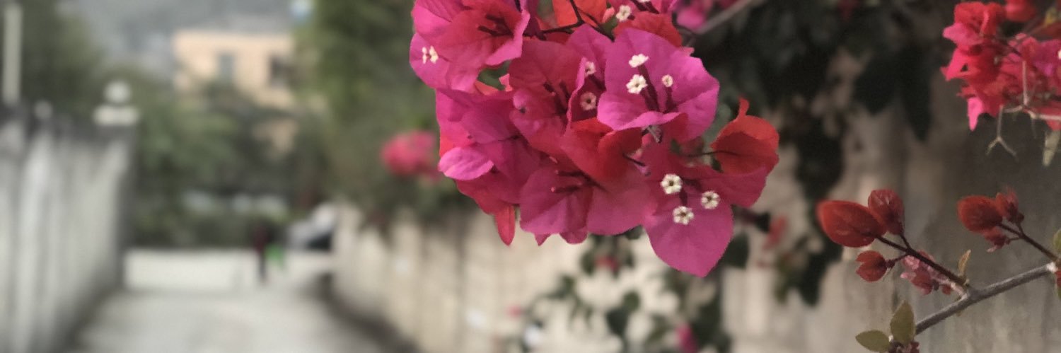 putsure's profile banner image