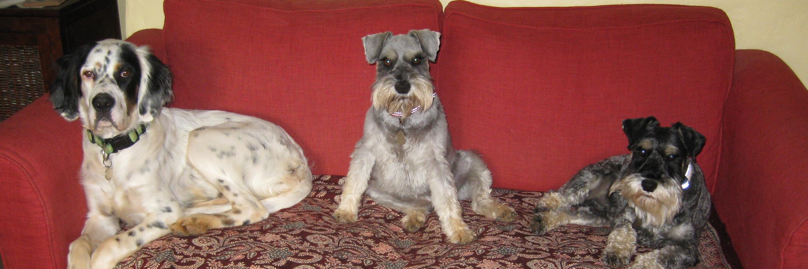 Stanley George banner