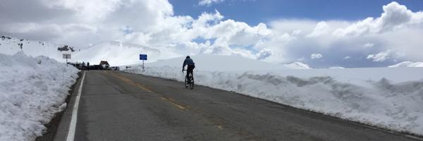 davisphinney Profile Banner