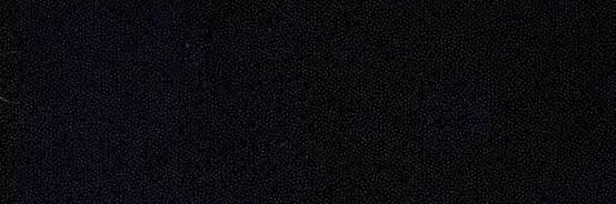 Connor James banner