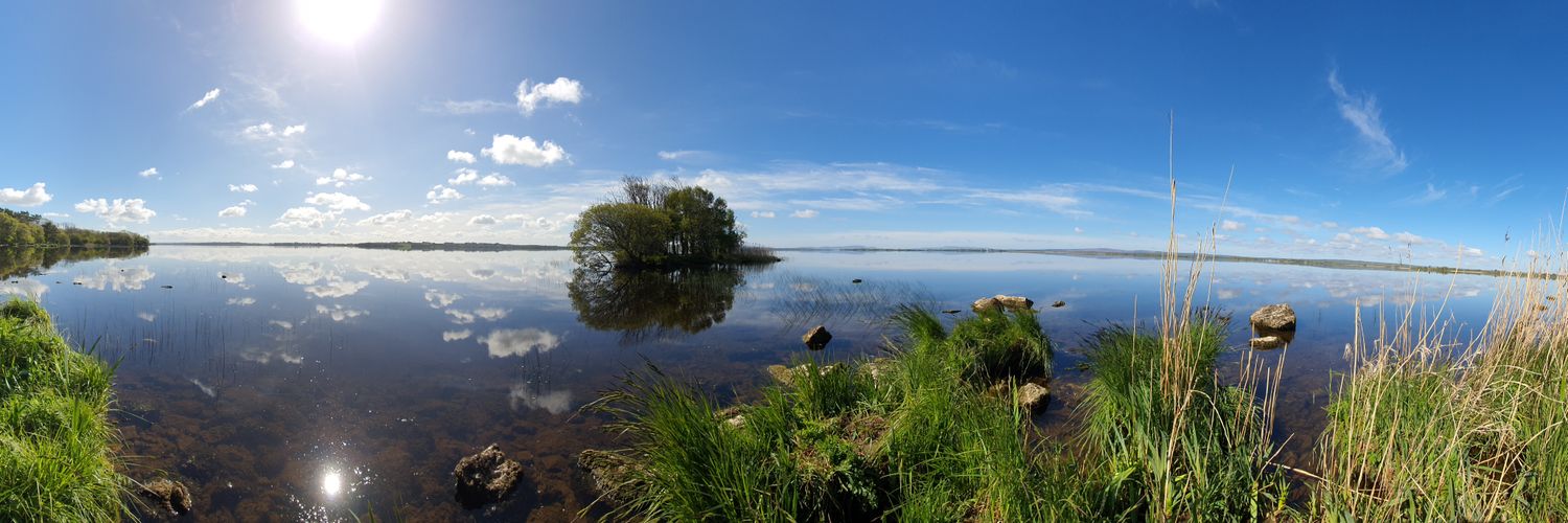 Alison Visser banner