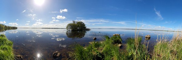 scribblingal Profile Banner