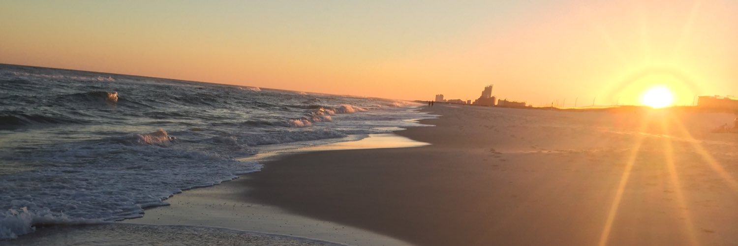 RandySeitz's profile banner image