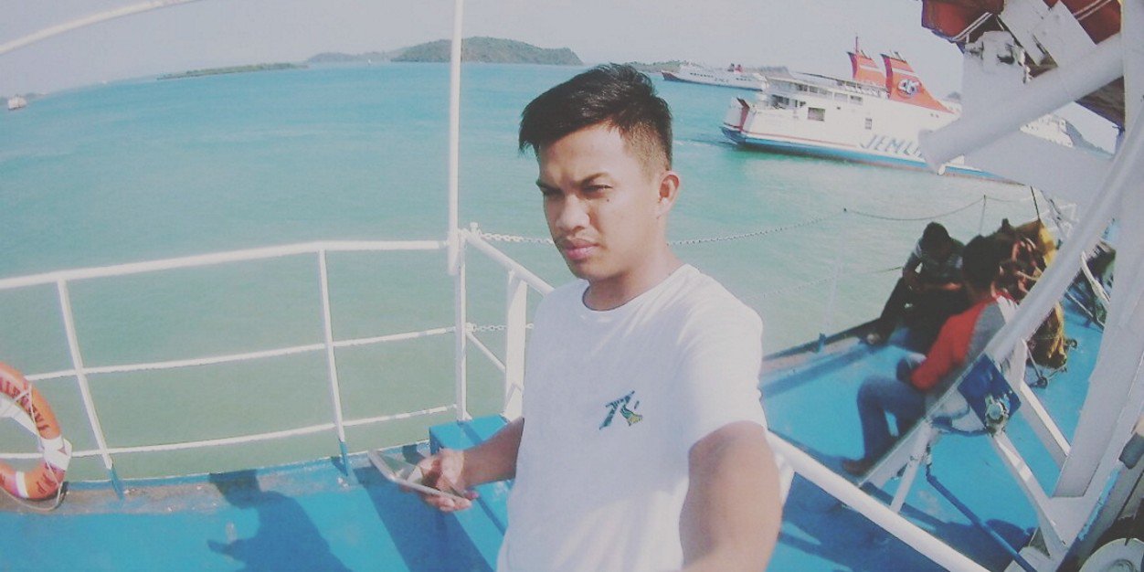 harry p denhas banner