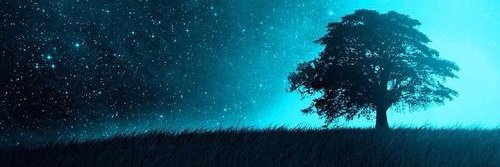 oniandor's profile banner image