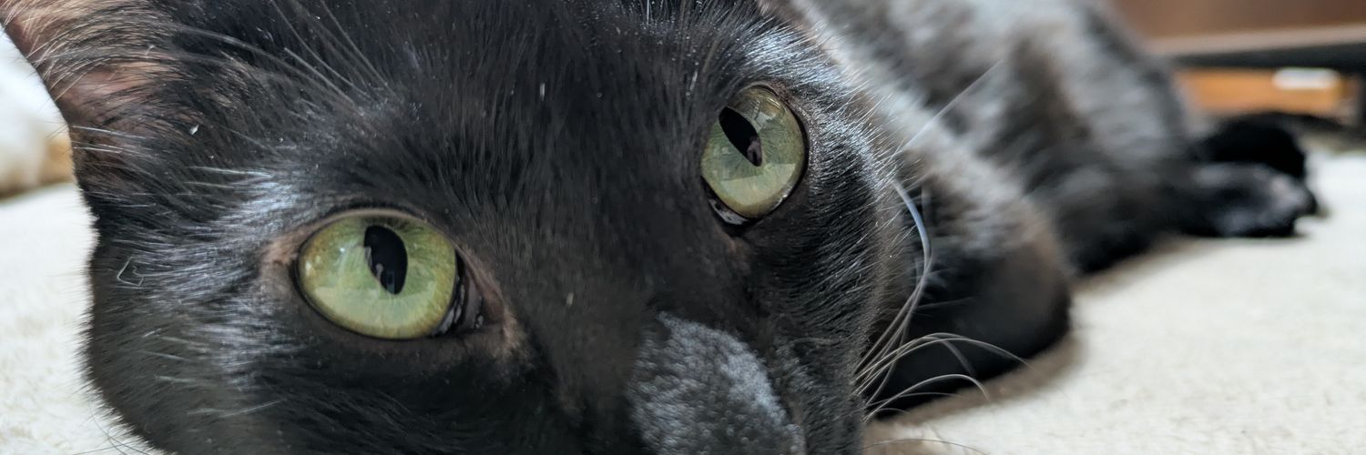 ogi_philo6's profile banner image