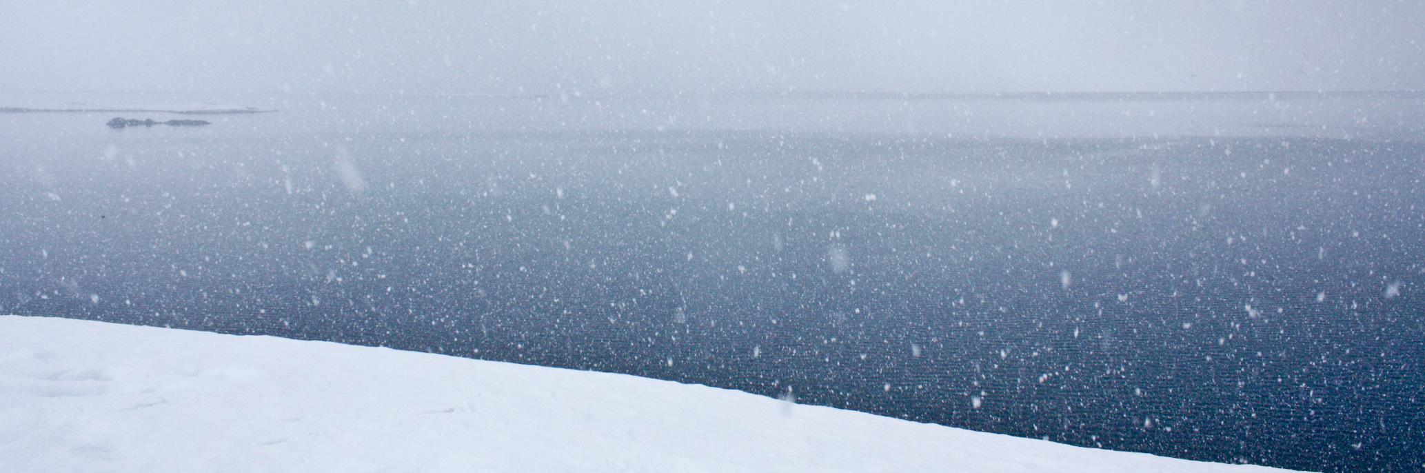 Larissa Beumer banner