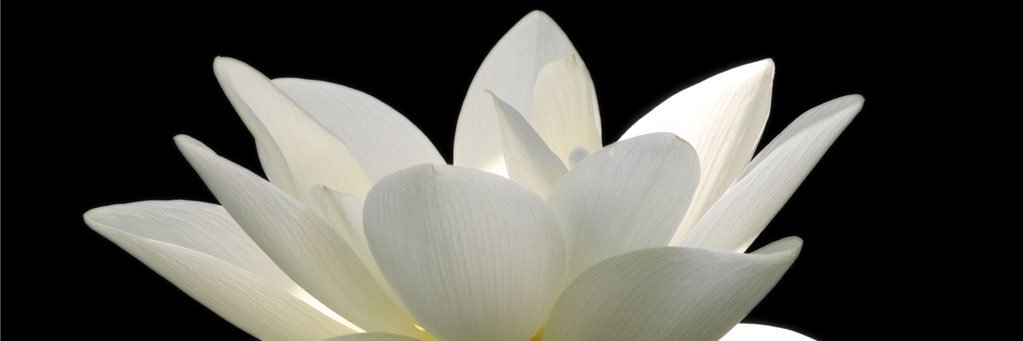 theIastninja's profile banner image