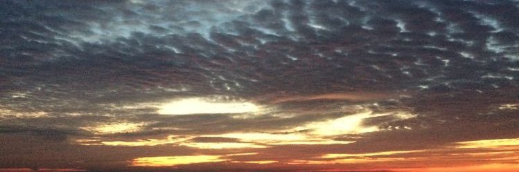 Cherberrie72's profile banner image
