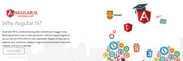 ngtutorials Profile Banner