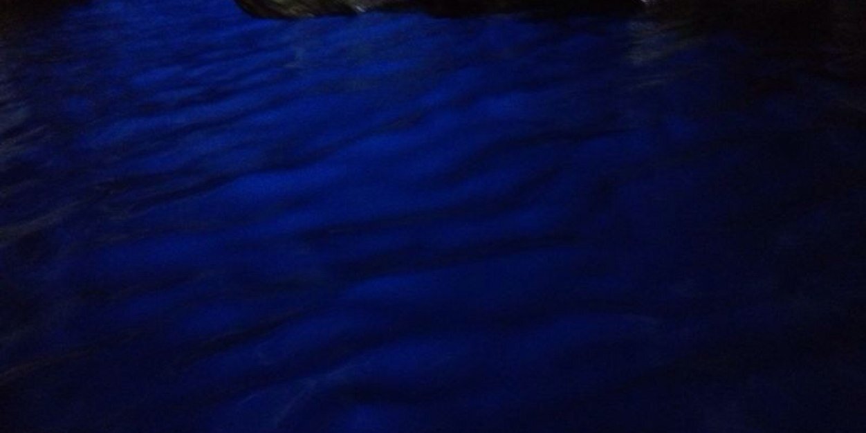 Alfonso Rangel banner