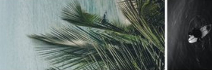 _happysuccess's profile banner image