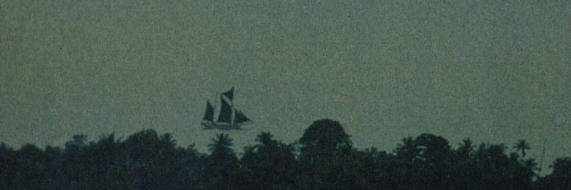 Lee Pazzini10 banner